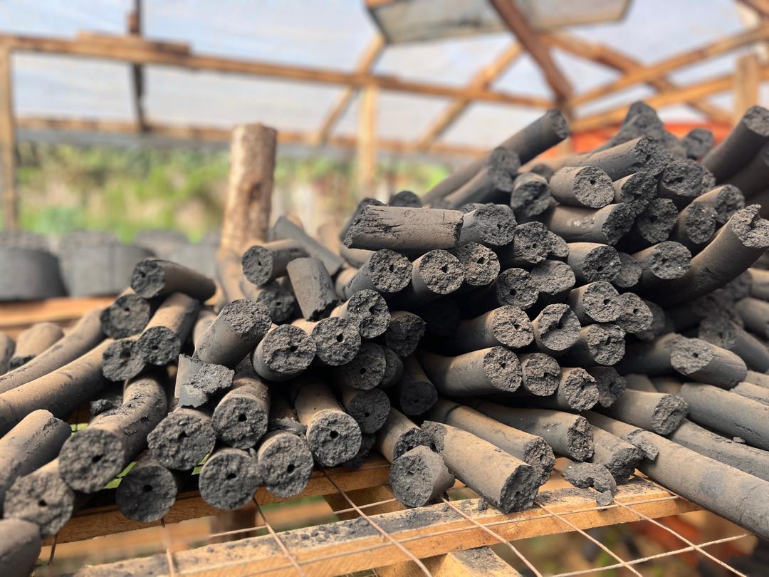 Stick briquettes on racks — production drying stage under timber-frame shed